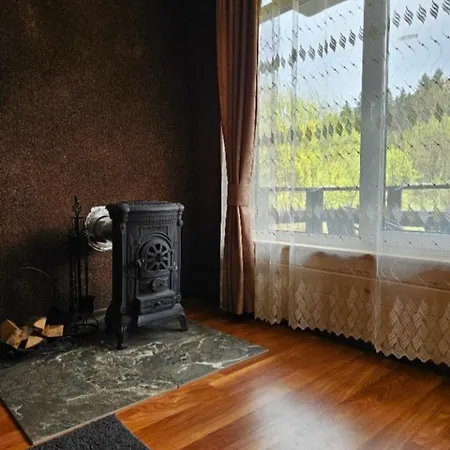 Apartment біля річки 2 Skole