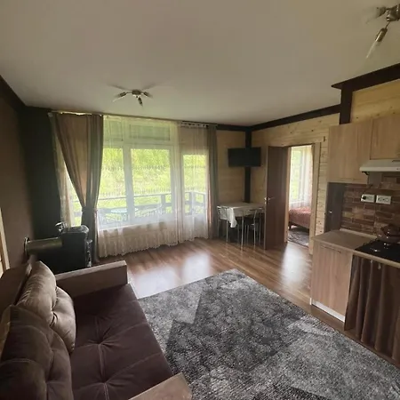 біля річки 2 Apartment Skole